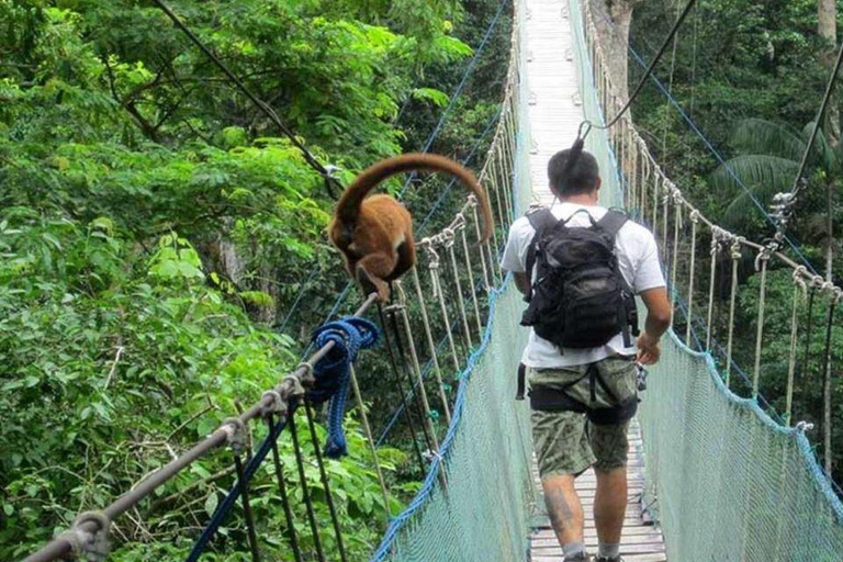 Puerto Maldonado : Tyrolienne, canopée et kayakPuerto Maldonado : Randonnée en tyrolienne, canopée et kayak