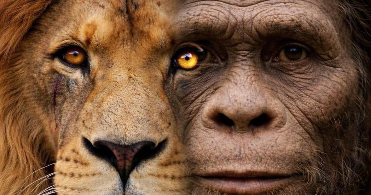 Culla dell’umanità e safari — Johannesburg, Sudafrica