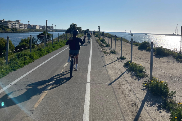 لوس أنجلوس ركوب الدراجة الإلكترونية على الشاطئ من شاطئ ريدوندو إلى سانتا مونيكالوس أنجلوس: ركوب ال