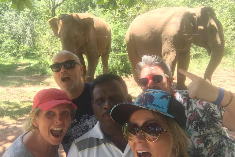 Srilanka private: Van & Car transportation (BIA to anywhere)