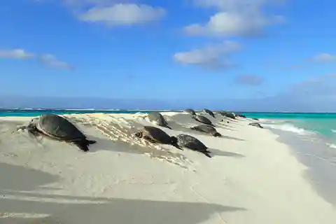 Enchanting Small Group Circle Island Tour of Oahu paradise