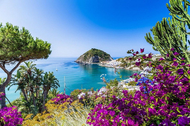 From Sorrento: Ischia Relax Thermal Park + Borgo Sant Angelo + transfers From Sorrento: Ischia Relax Thermal Park+ Borgo Sant Angelo+ transfers