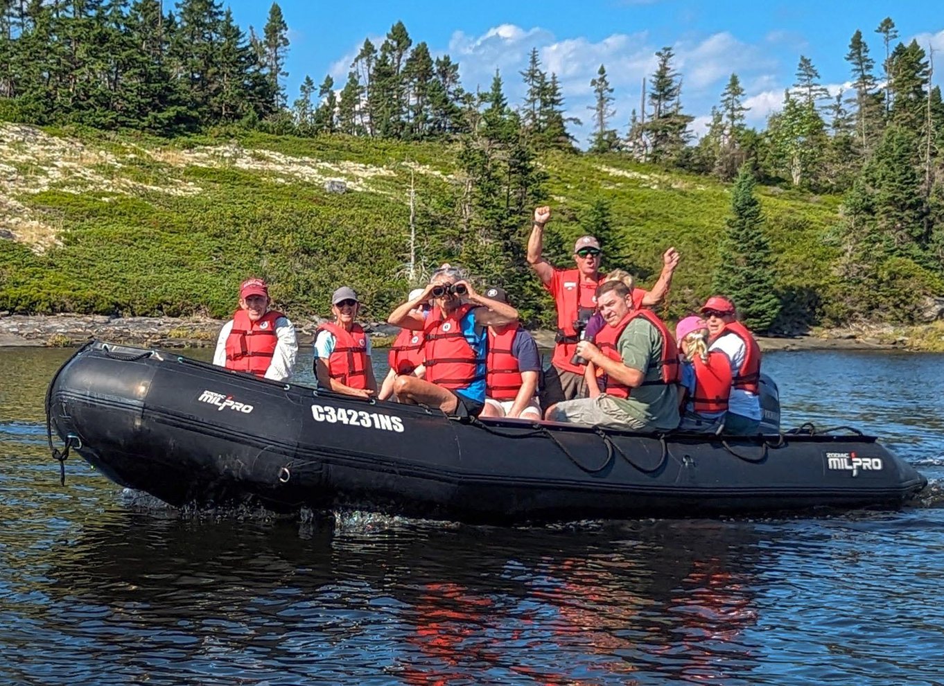 Lunenburg: Zodiac-tur med dyreliv og naturguide