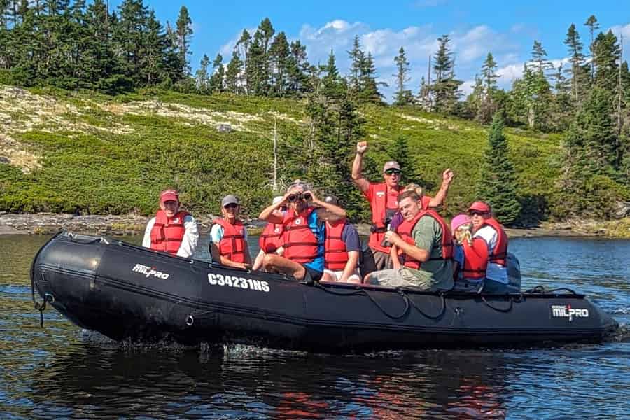 Lunenburg: Zodiac-Wildtier-Tour mit Naturführer. Foto: GetYourGuide Lunenburg: Zodiac-Wildtier-Tour mit Naturführer. Foto: GetYourGuide