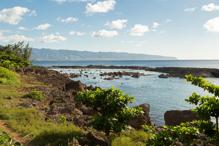 Honolulu: Tour in Segway di Diamond Head