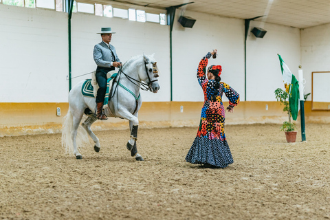 Malaga: Horse Show with Dinner, Drinks & Live Flamenco Show Only horse show with a bit of flamenco dancing