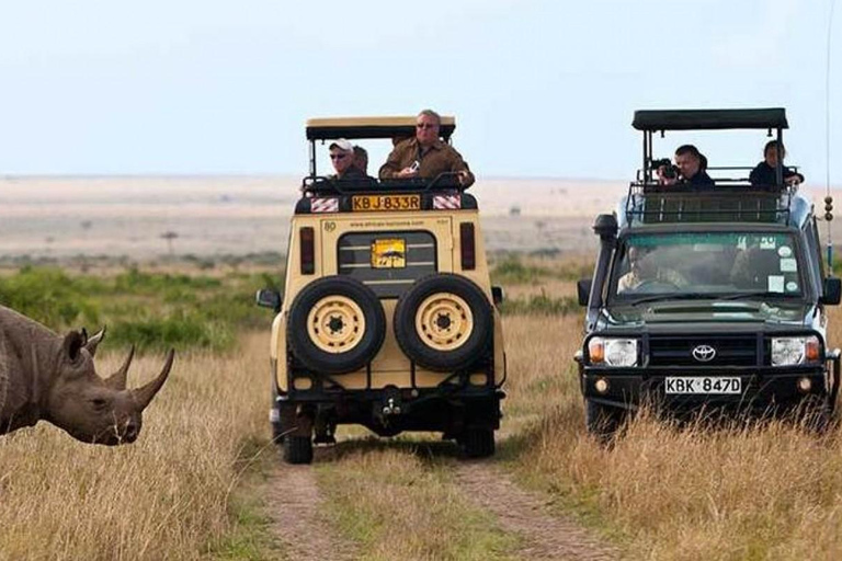 Masai mara: 3 dias de safári em grupo no Jambo mara lodge