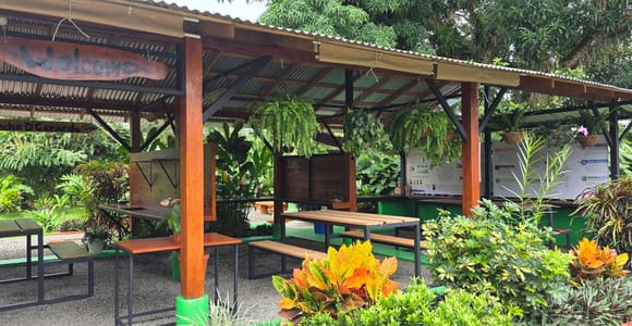 La Fortuna: Costa Rican Cooking Class & Tasting Menu