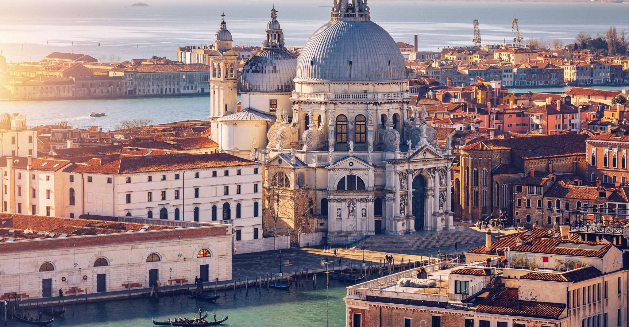 From Trieste: Venice for Disembarking Cruise Passengers