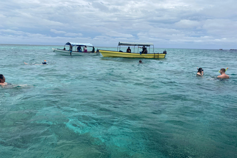 Mnemba: Afrikanska Maldiverna dagstur med lunchNungwi: Afrikanska Maldiverna dagstur med lunch
