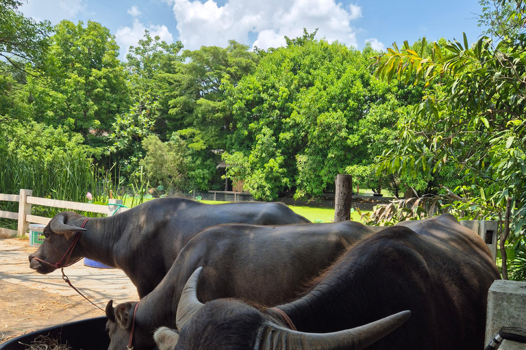 Bangkok to DuBua Café & Amphawa Private Day Trip