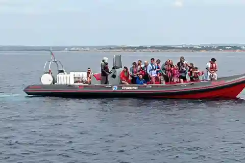 Albufeira: Dolphin Watching and Benagil Cave Boat Cruise