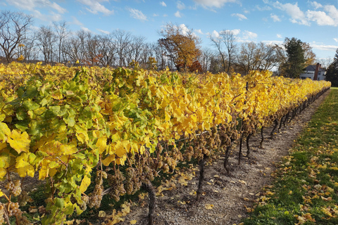 Toronto: Niagara Falls Private Custom Tour