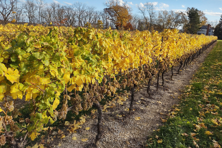 Toronto: Niagara Falls Private Custom Tour