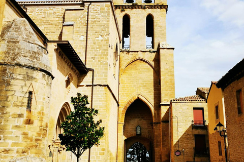 Rioja: Wine Tour with a Local Expert with Tastings