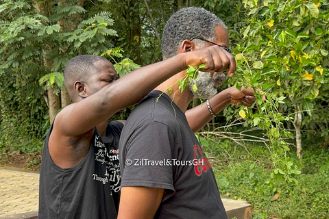 Ghana: 3-Day Ancestral Triangle Experience in Accra and more