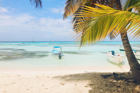 Santo Domingo: Aventura en catamarán a Isla Saona