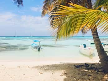 Punta Cana: Saona Island Catamaran Adventure with Lunch