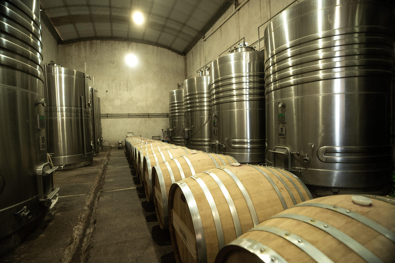 Cafayate: Tour de dia completo por bodegas y degustacion de vinos