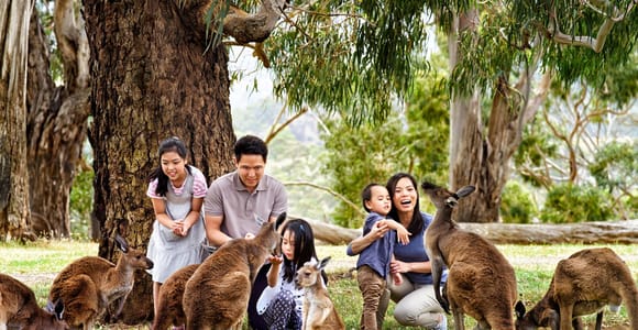 Melbourne Highlights & Aussie Wildlife Express Tour