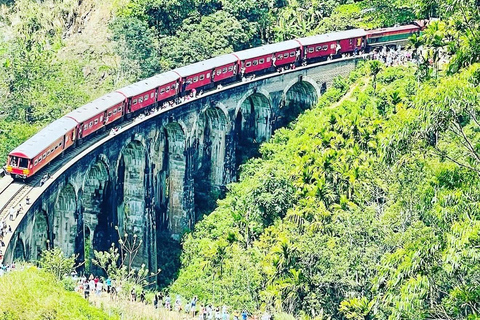Nanu Oya: Scenic Train to Ella Reserved Seats with Transfers