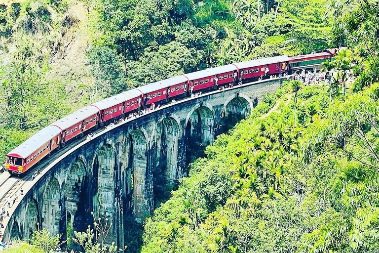 Nanu Oya: Scenic Train to Ella Reserved Seats with Transfers