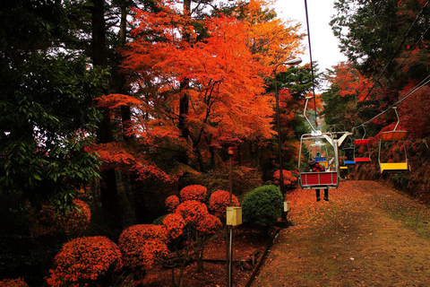 Tokyo: Mt Takao Tour with Ramen and Tattoo-Okay Hot Spring