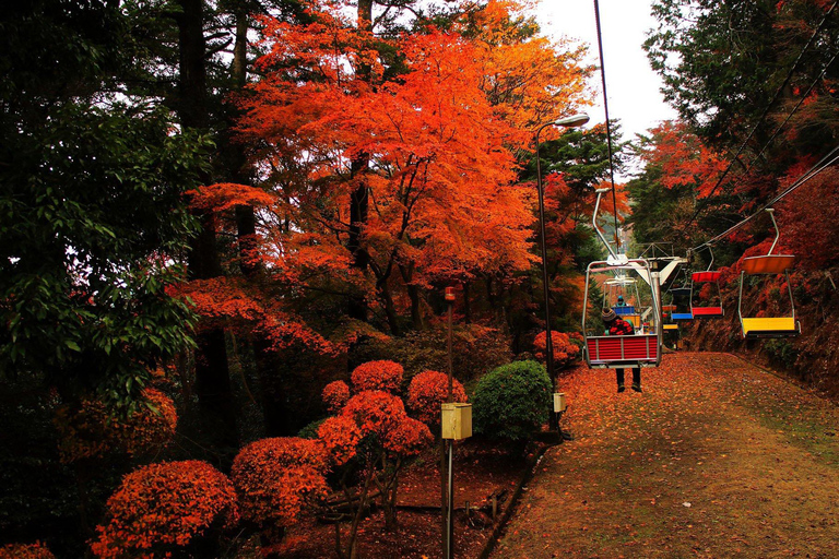 Tokyo: Mt Takao Tour with Ramen and Tattoo-Okay Hot Spring