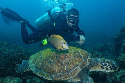 z Rio de Janeiro: Nurkowanie w Buzios