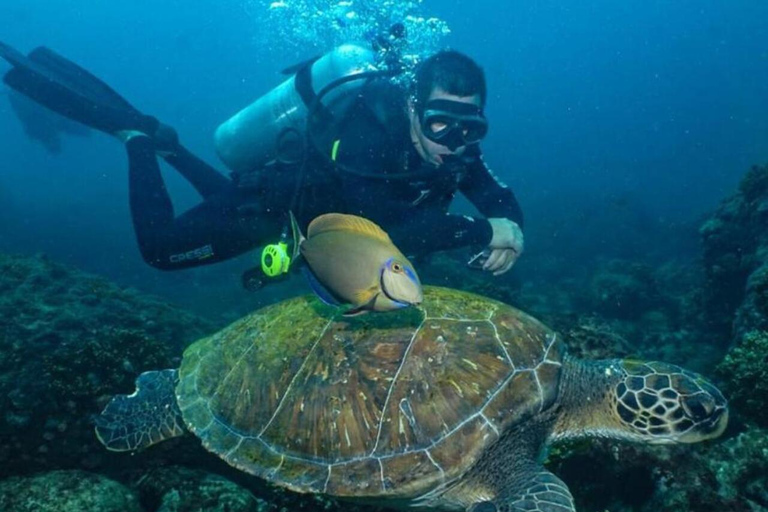 do Rio de Janeiro: Mergulho em Búzios