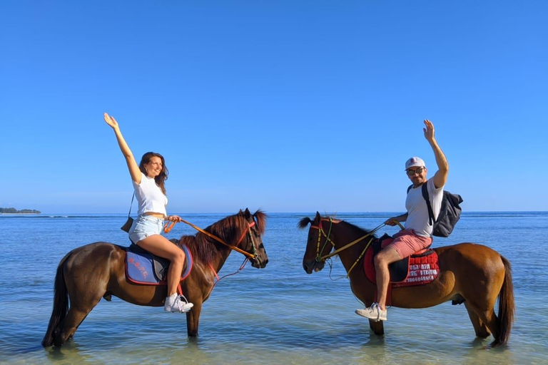 Gili Meno : Randonnée à cheval sur la plage de l&#039;écurie