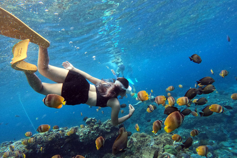 From Bali: Nusa Penida Snorkeling and Sightseeing Day Trip