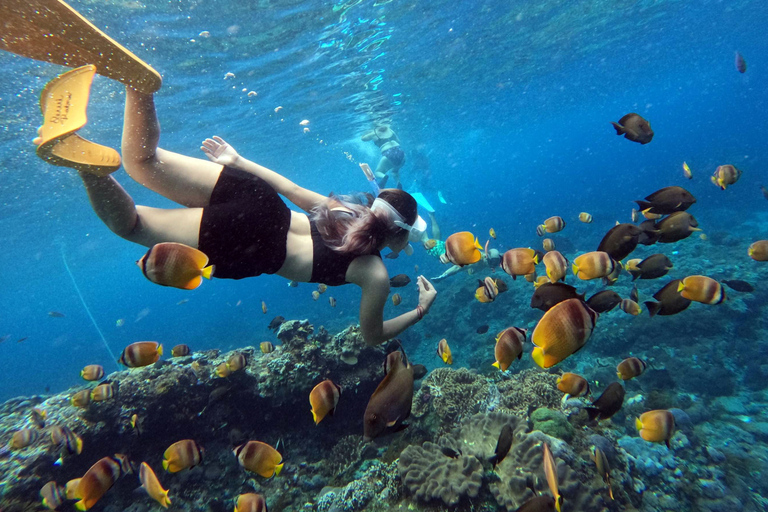 From Bali: Nusa Penida Snorkeling and Sightseeing Day Trip