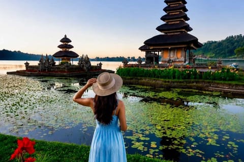 Bali: Private North Bali Highlights Tour with Coffee Tasting