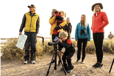 Jackson: Private Widlife Safari & Lake Beach Experience