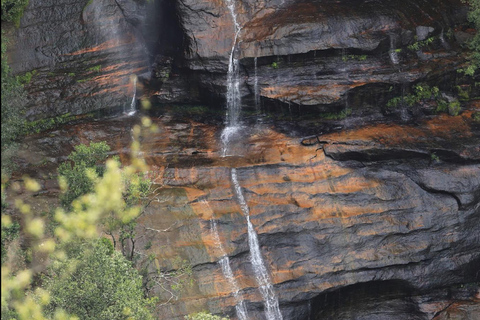 Blue Mountains Active Hike Tour from Sydney: No Rides Sydney: Blue Mountains Active Eco-Hike Tour (No Rides)