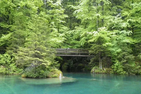 Thun: Blausee, Spiez Castle, & Lake Thun Private Guided Tour