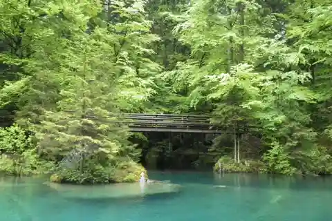 Thun: Blausee, Spiez Castle, & Lake Thun Private Guided Tour