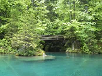 Thun: Privat guidet tur til Blausee, Spiez slott og Thun-sjøen