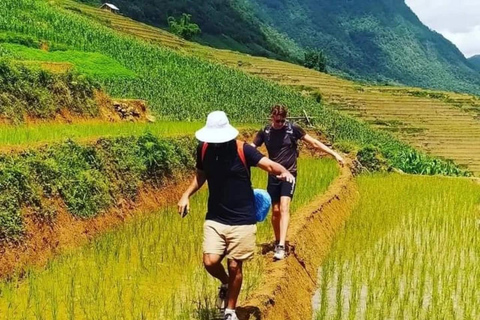 Från Hanoi: Premium 2-dagars Sapa Adventure med DCAR Limousine4-stjärnigt hotell eller bungalow