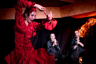 Valencia: Flamenco Show in Tablao La Reina