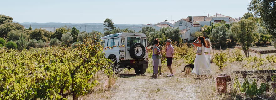 Tomar : visite du vignoble avec dégustations