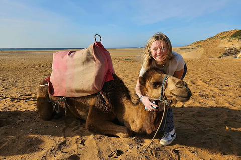 From Malaga: Tangier Day Trip with Ferry, Camel & Souks