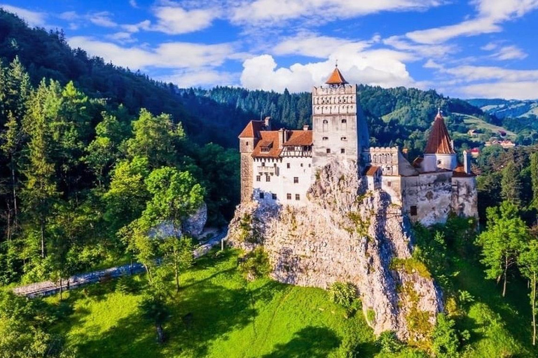 From Bucharest: Dracula Castle, Peles and Brașov Day Trip