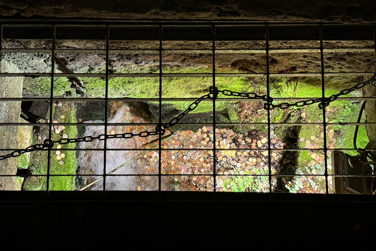 Rome's Hidden Underground Excavations & Colosseum Tour