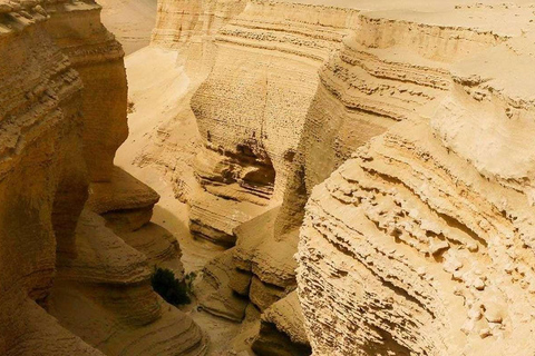 Depuis Ica : Journée complète au Canyon des Perdus