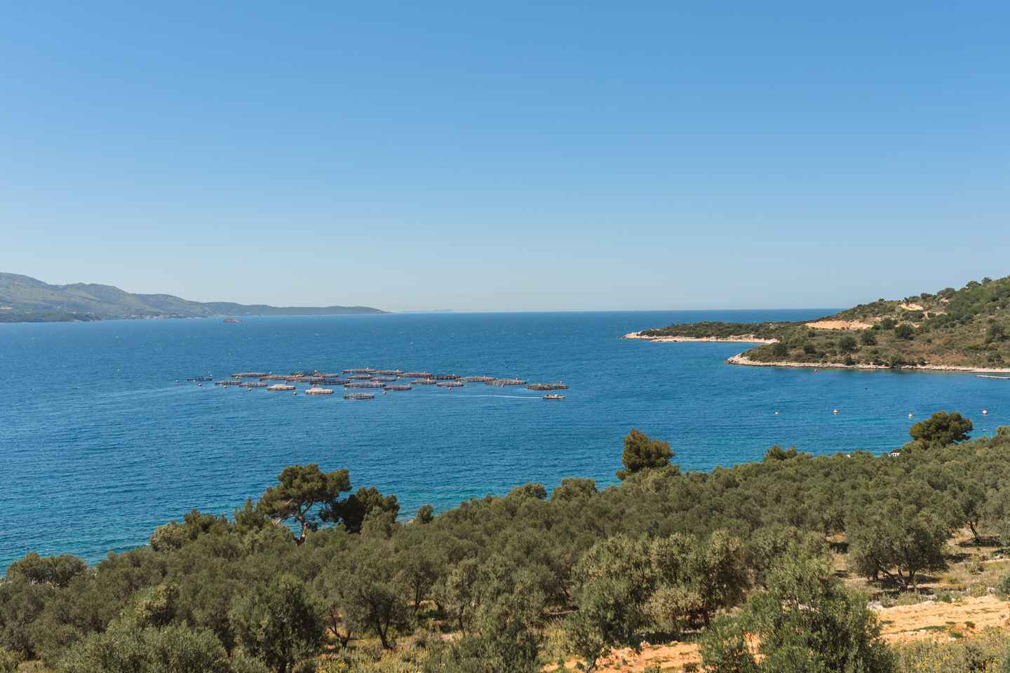 Excursion d'une journée: Ksamil, Saranda et Œil Bleu