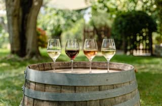 Weinprobe, Cannes, Grasse, die Parfümfabrik und mehr