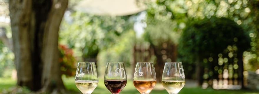 Dégustation de vin, Cannes, Grasse, la parfumerie et plus encore