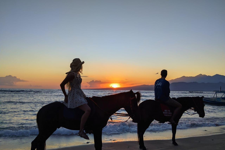 Gili Meno : Randonnée à cheval sur la plage de l&#039;écurie